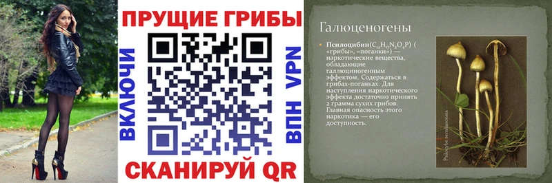 Галлюциногенные грибы мухоморы  Вятские Поляны 